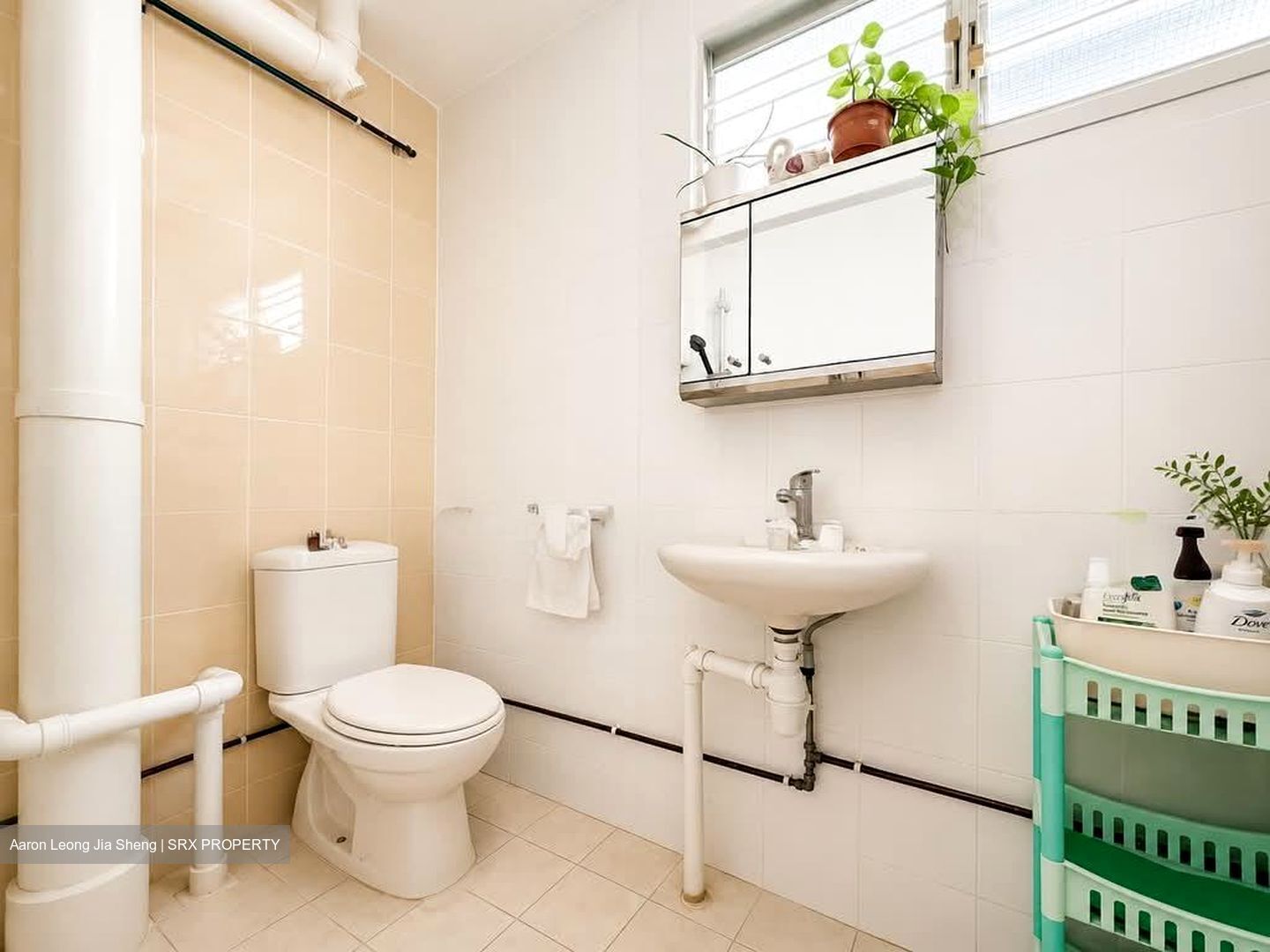 Blk 315 New Upper Changi Road (Bedok), HDB 4 Rooms #561811351